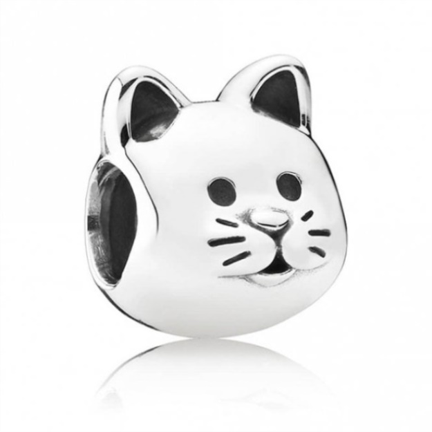 Curious Cat Charms Pandora