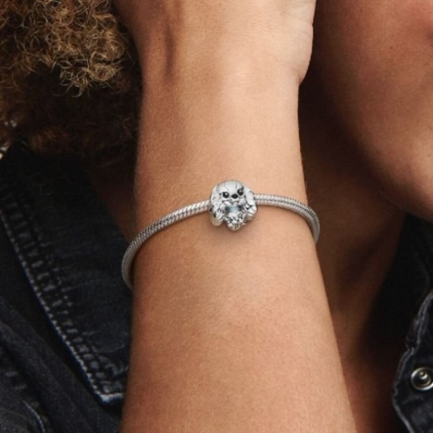 Disney Lady Charms Pandora