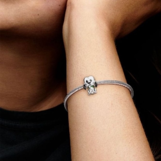 Disney Pluto Charms Pandora