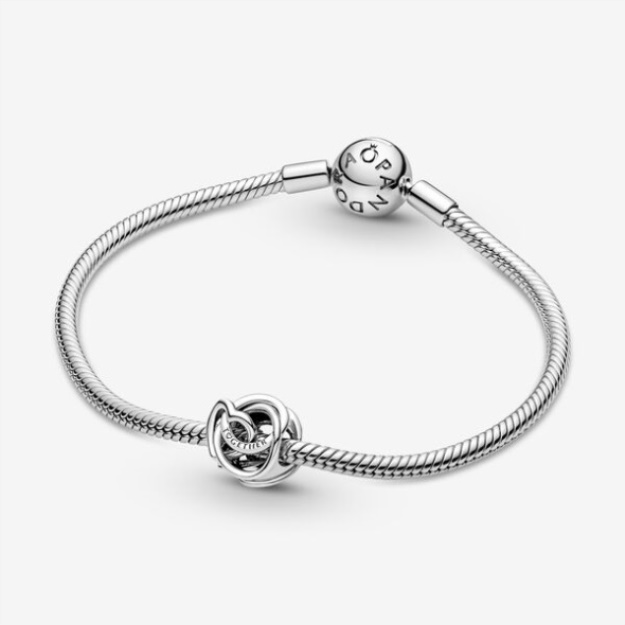 Family Always Encircled Heart Charm Pandora