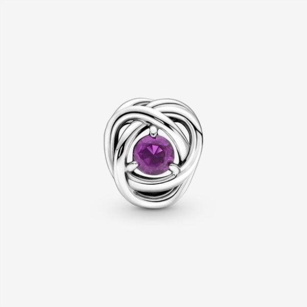 February Purple Eternity Circle Charm Pandora
