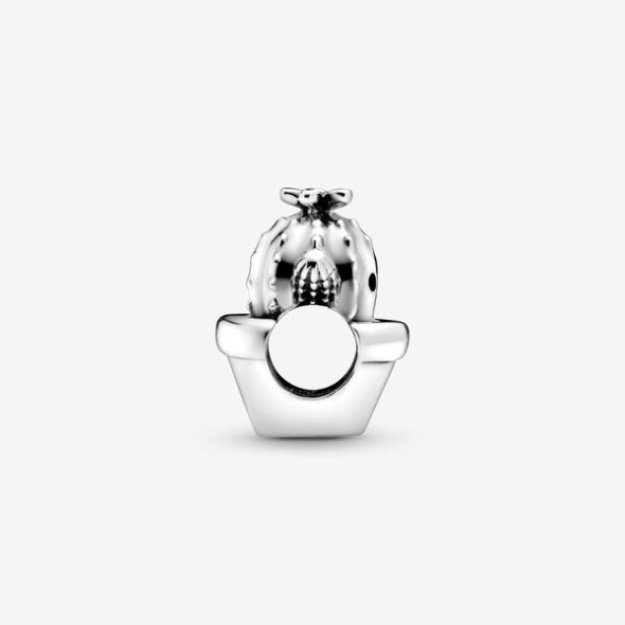 Free Hugs Cactus Charm Pandora