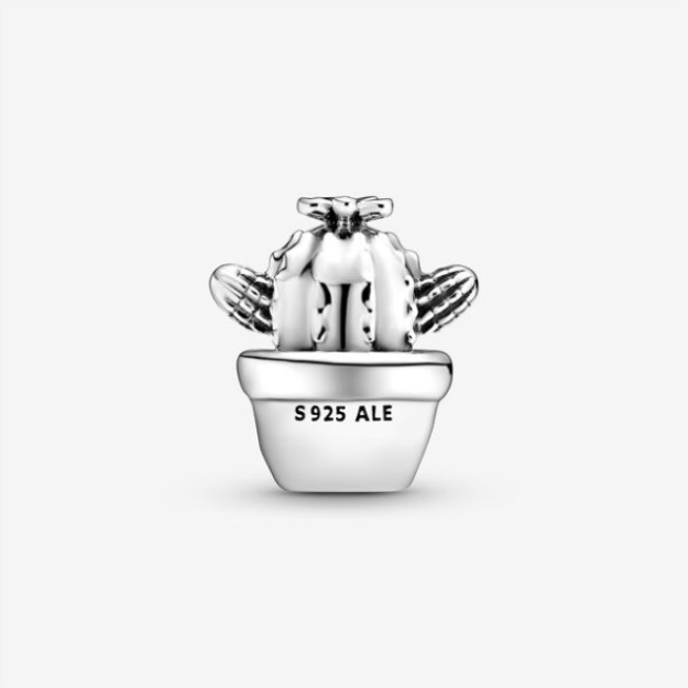 Free Hugs Cactus Charm Pandora