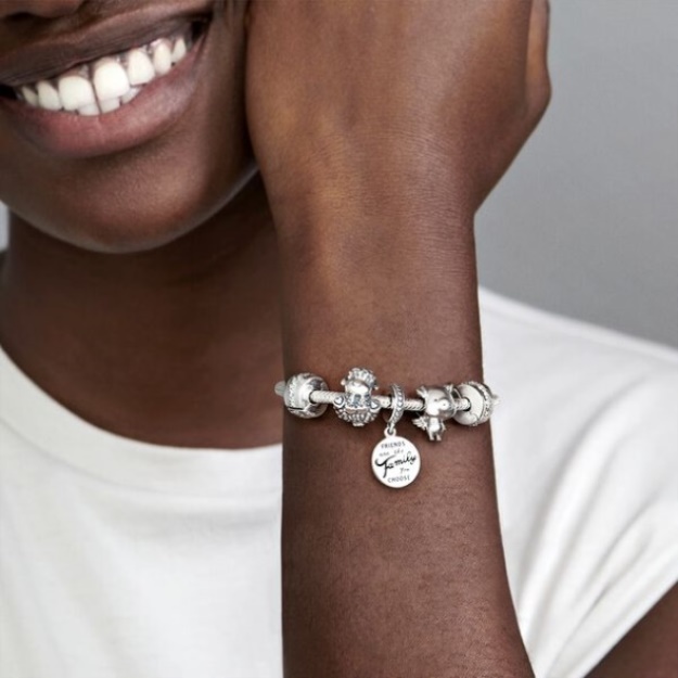 Friends Are Family Dangle Charm Pandora