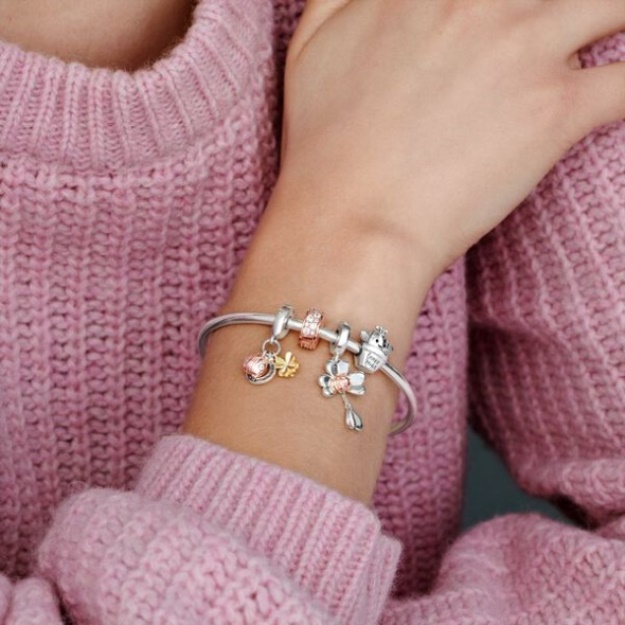 Horseshoe Clover Ladybird Dangle Charm Pandora Tri-Tone