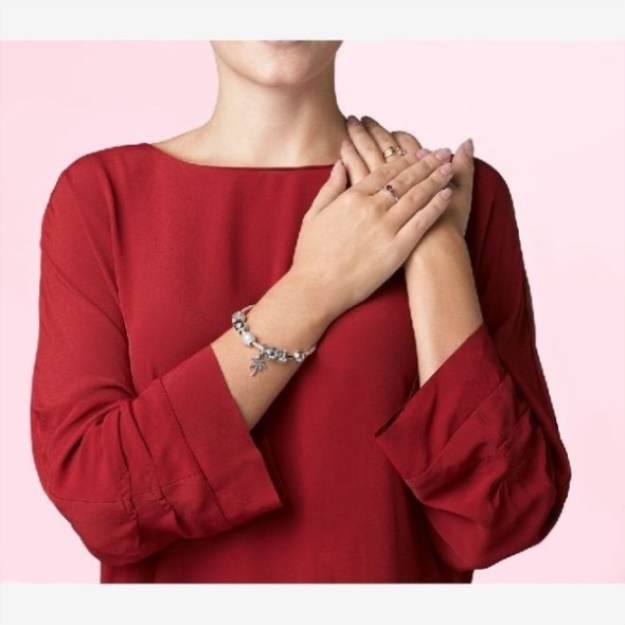 Moments Brand Pandora Snake Chain Bracelet