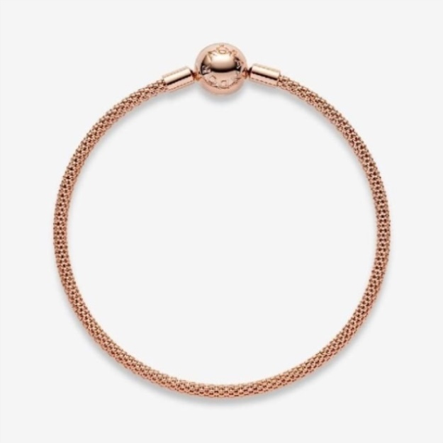 Moments Rose Mesh Bangle Pandora