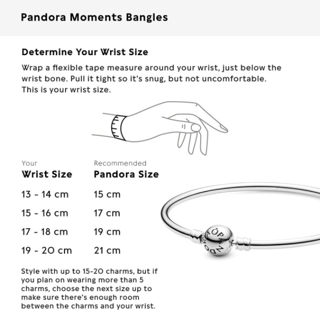 PANDORA Jewelry Bangle Charm Sterling Silver Bracelet