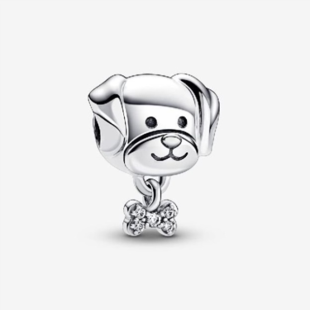 Pet Dog  Bone Charms Pandora