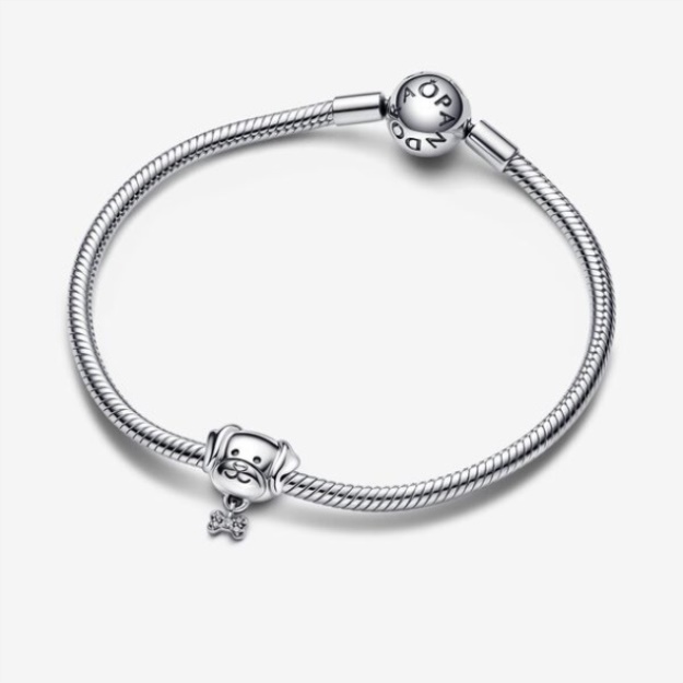 Pet Dog Bone Charm Pandora