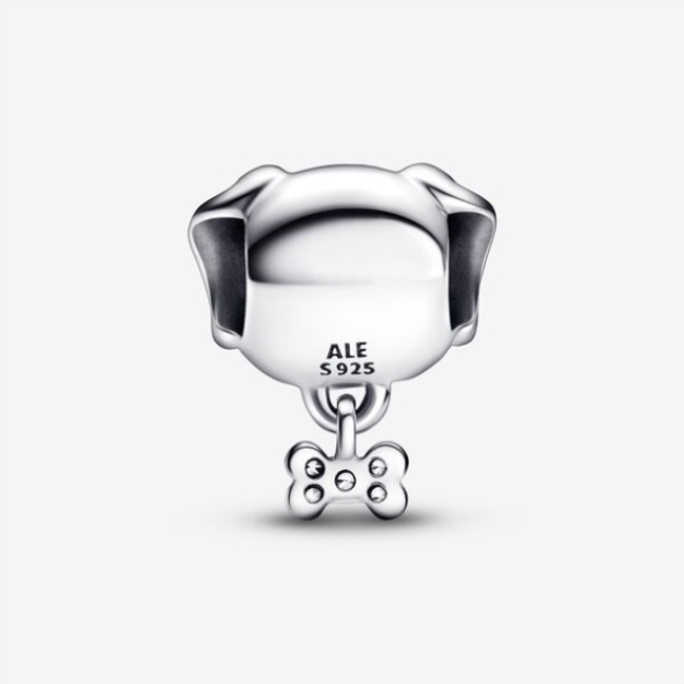 Pet Dog Bone Charm Pandora