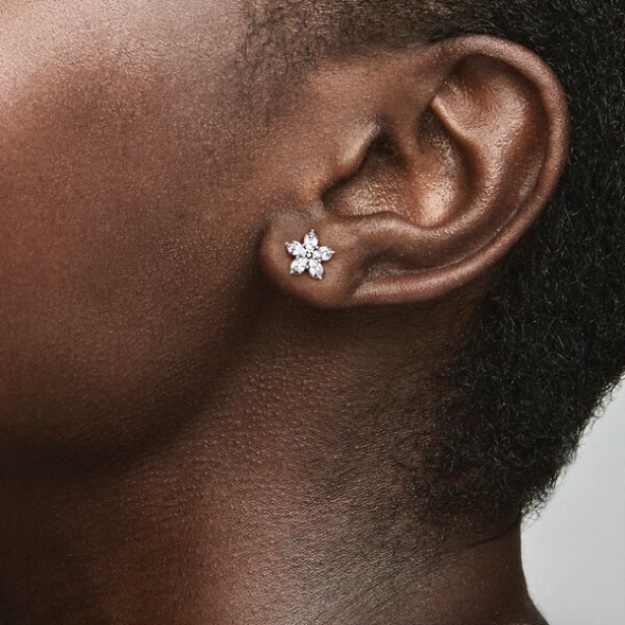 Sparkling Snowflake Stud Earrings Pandora