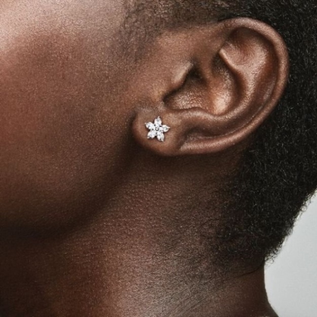 Sparkling Snowflake Stud Earrings Pandora CA