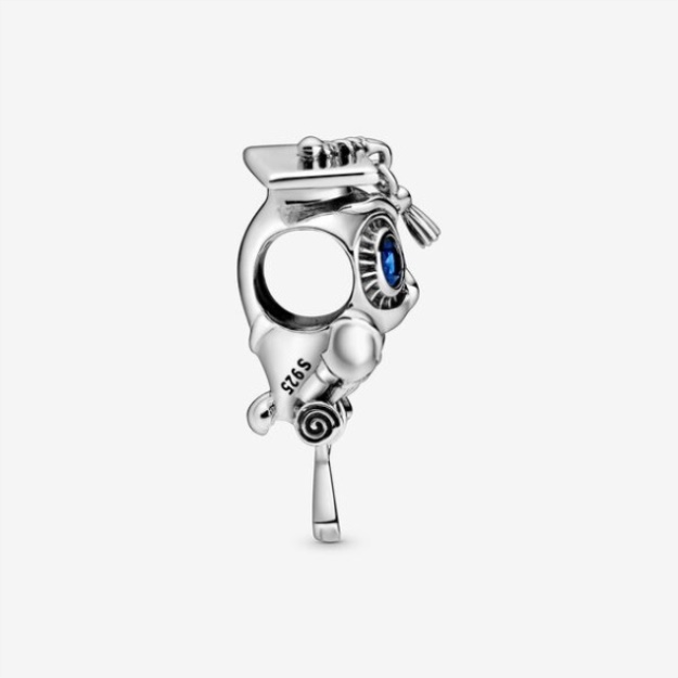 Wise Owl Graduation Charm Pandora