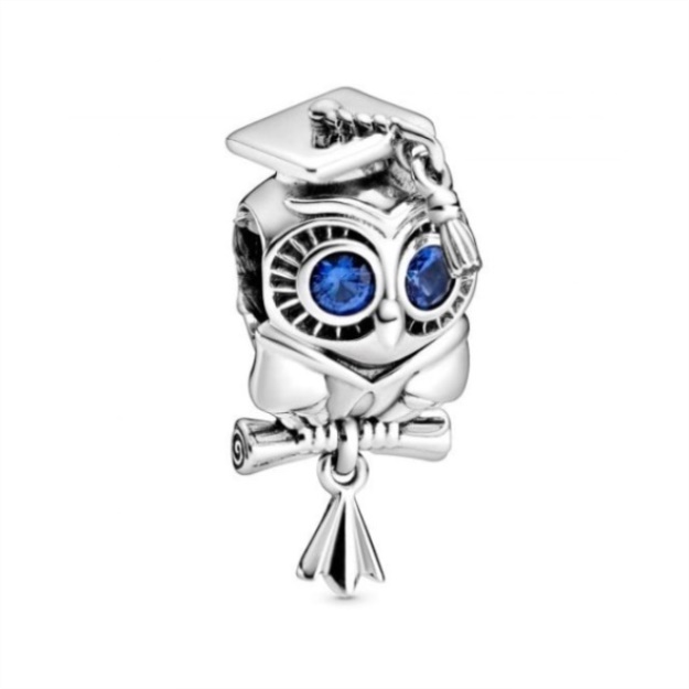 Wise Owl Graduation Charms Pandora