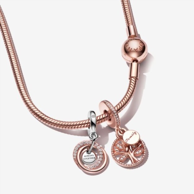 Family Circle Rose Charm Necklace Set Pandora