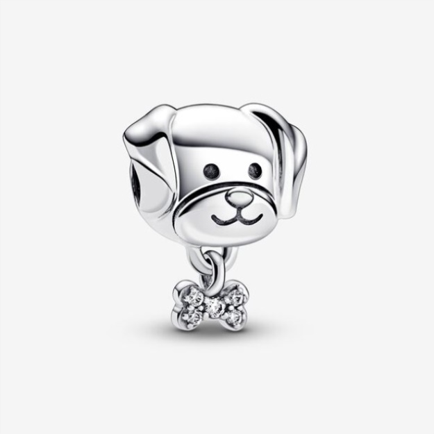 Pet Dog Bone Charm Pandora