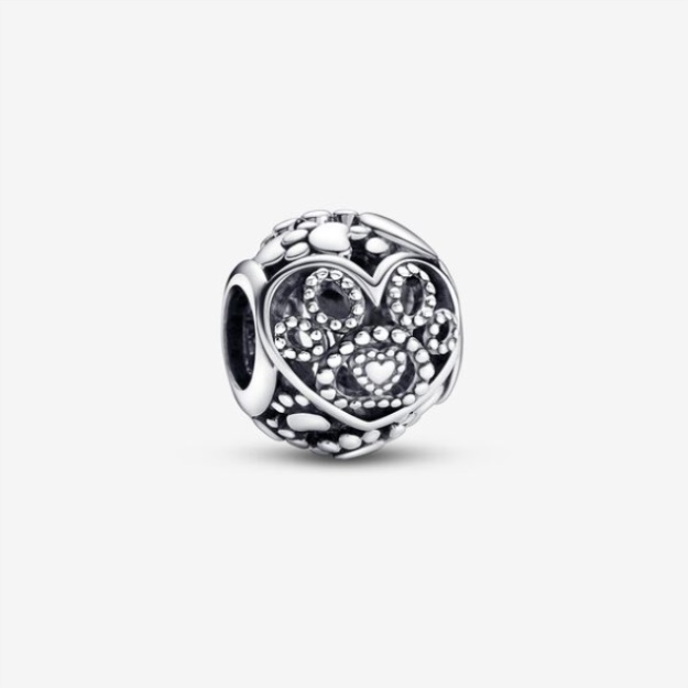 Fur Baby Hearts Paw Prints Charm Pandora
